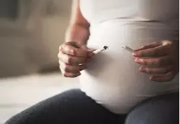 Pregant woman breaking a cigarette in half