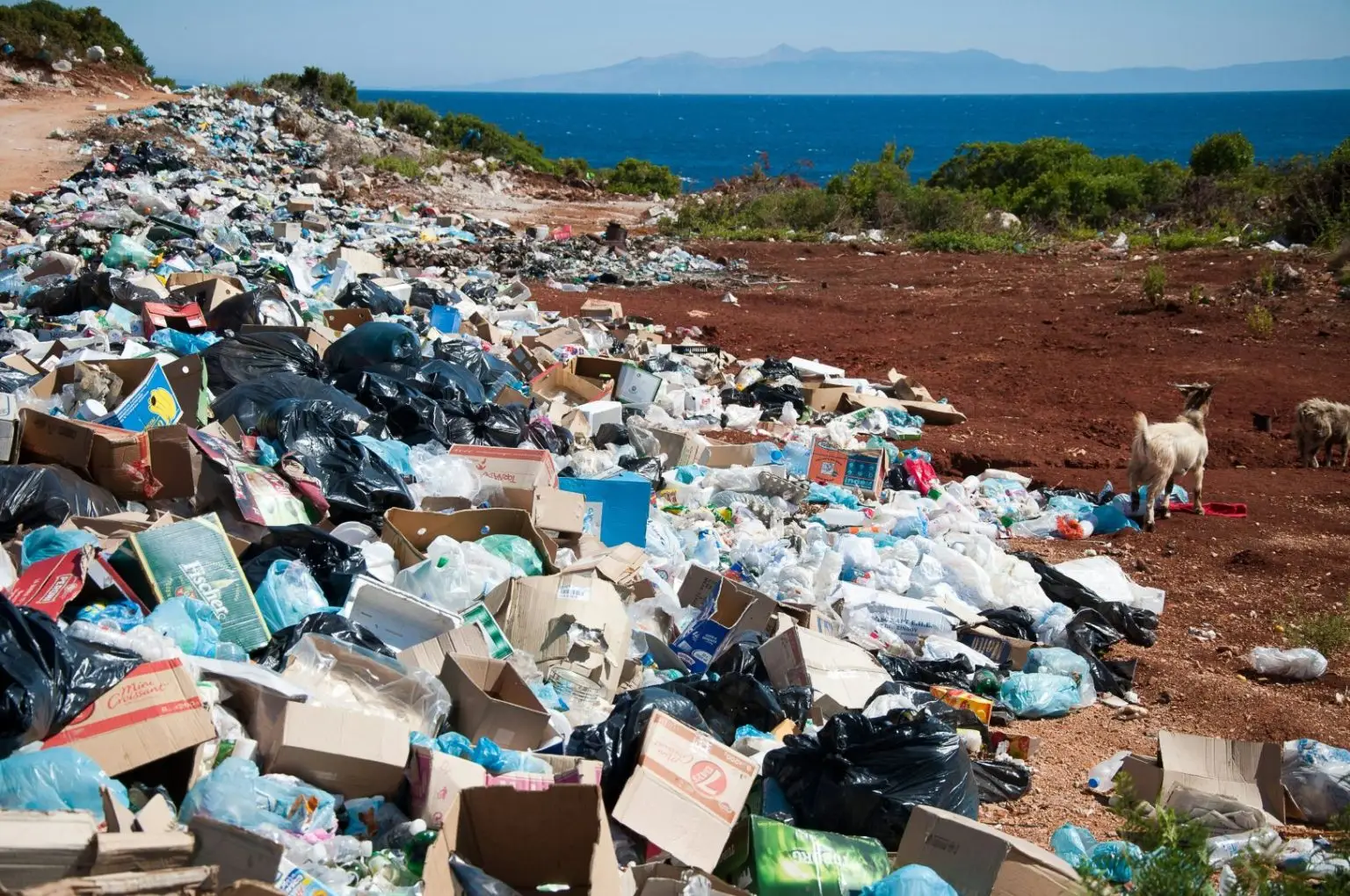 Large piles of trash at a dump site