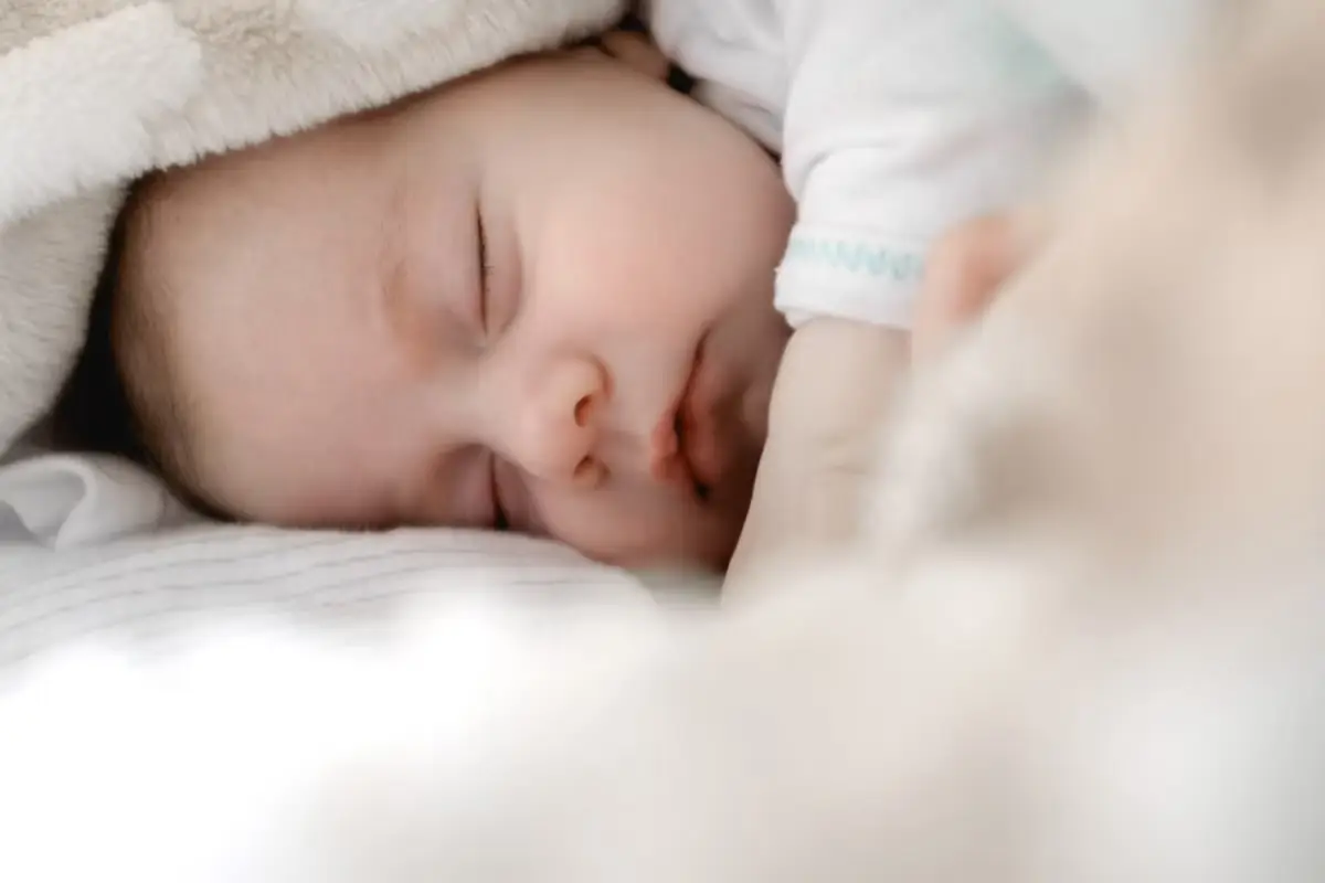 Baby sleeping in a blanket